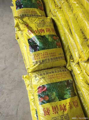 為何國家鼓勵農(nóng)民使用生物有機肥并給予補貼？答案在這！生物有機肥料研發(fā)